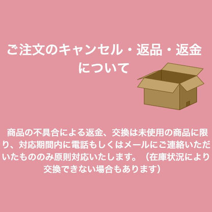 レッドレンザー ソリッドライン LEDライト SH-6R 502206