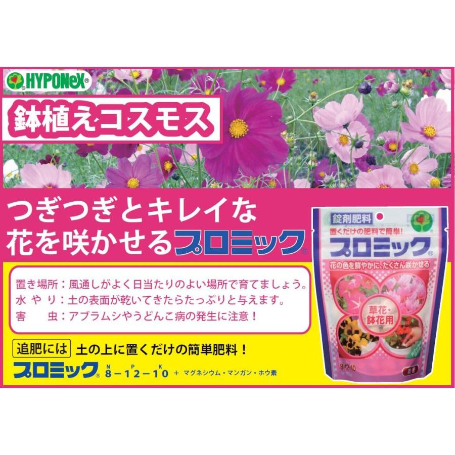 ハイポネックスジャパン 肥料 プロミック 草花・鉢花用 350g   錠剤肥料 置肥 花の色を鮮やかにたくさん咲かせる