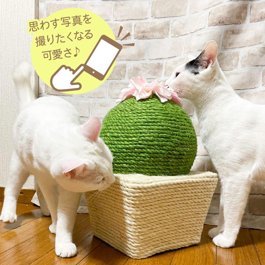 ペットアイ 爪とぎサボテン丸 23×23×高さ34cm 991064 グリーン 猫の爪とぎ