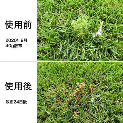 レインボー薬品 除草剤 シバキーププラスV 1kg 芝 雑草 庭 駐車場 除草 予防 芝生 粒状